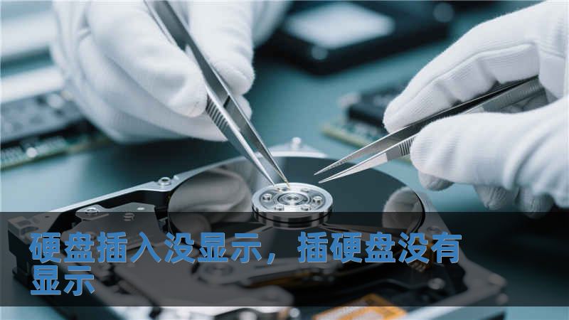 硬盘插入没显示，插硬盘没有显示