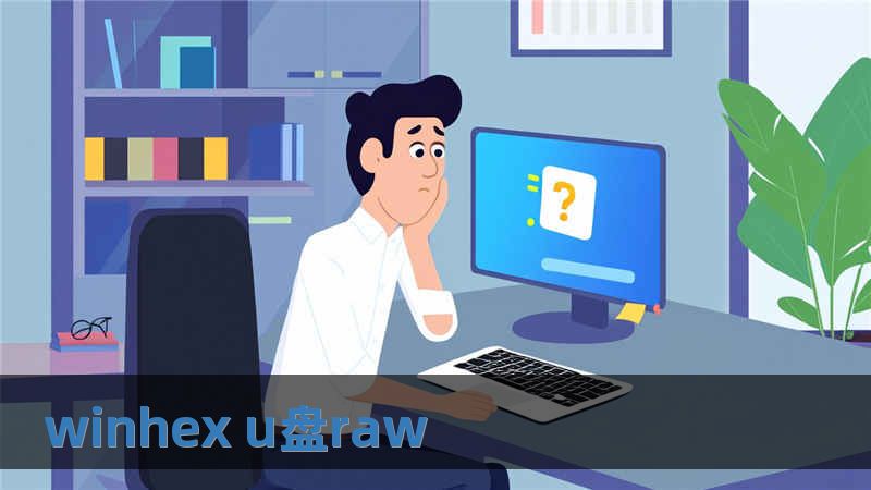 winhex u盘raw