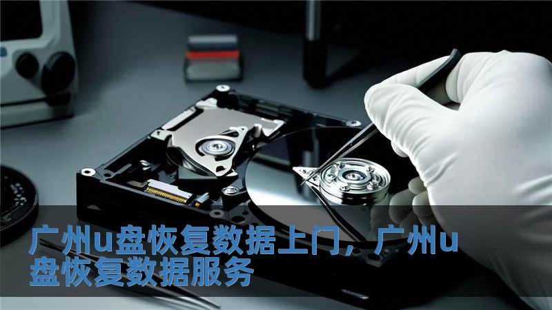 广州u盘恢复数据上门,广州u盘恢复数据服务