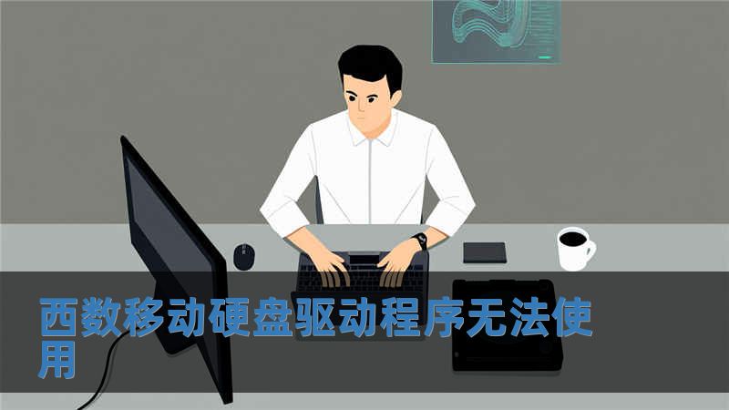 西数移动硬盘驱动程序无法使用