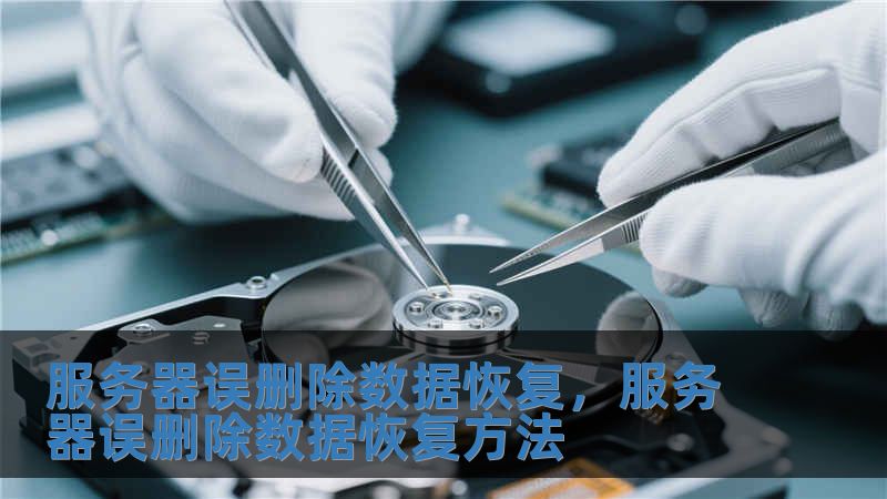 服务器误删除数据恢复，服务器误删除数据恢复方法