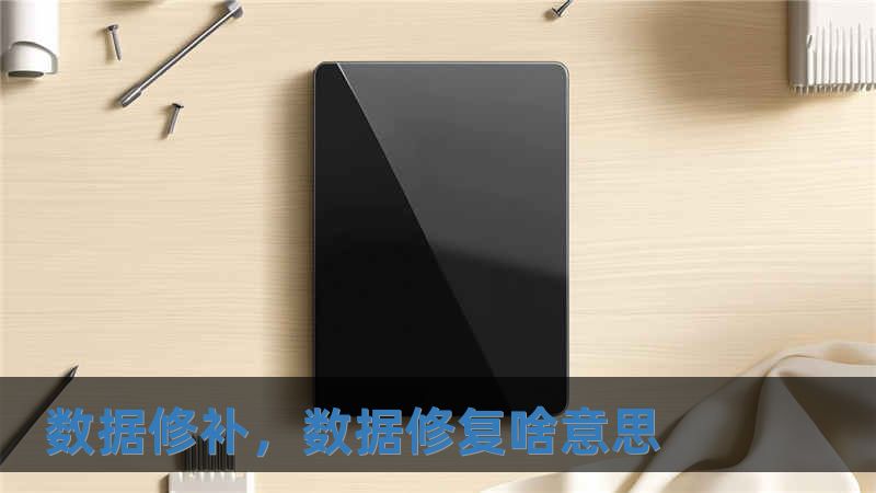 数据修补，数据修复啥意思