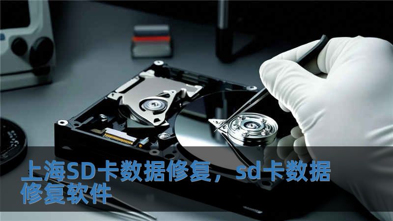 上海SD卡数据修复，sd卡数据修复软件