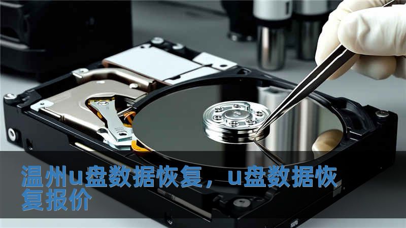 温州u盘数据恢复，u盘数据恢复报价