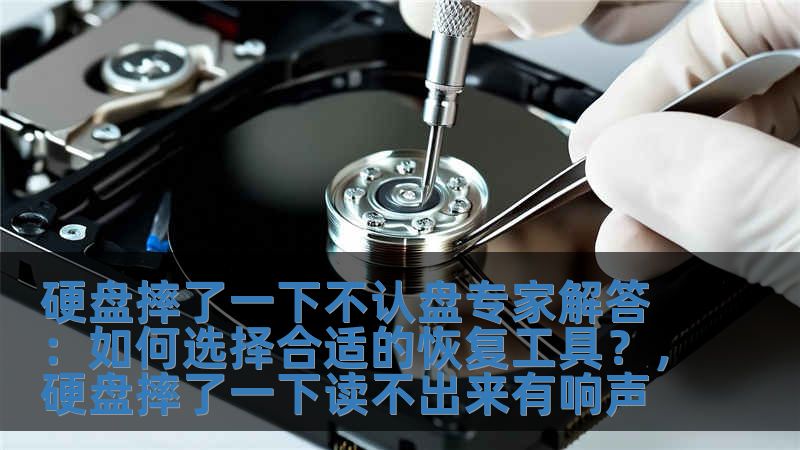 硬盘摔了一下不认盘专家解答：如何选择合适的恢复工具？，硬盘摔了一下读不出来有响声
