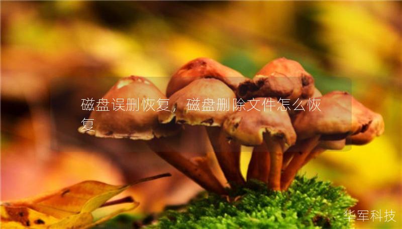 磁盘误删恢复,磁盘删除文件怎么恢复 磁盘误删恢复,磁盘删除文件怎么恢复