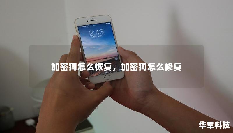 加密狗怎么恢复,加密狗怎么修复 加密狗怎么恢复,加密狗怎么修复