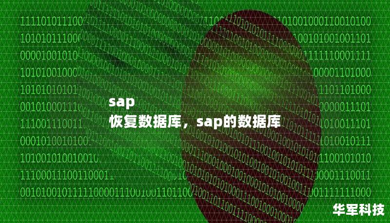 sap 恢复数据库,sap的数据库 sap 恢复数据库,sap的数据库