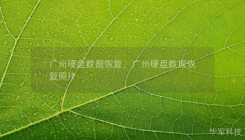广州硬盘数据恢复,广州硬盘数据恢复照片 广州硬盘数据恢复,广州硬盘数据恢复照片