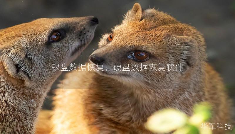 银盘数据恢复,硬盘数据恢复软件 银盘数据恢复,硬盘数据恢复软件