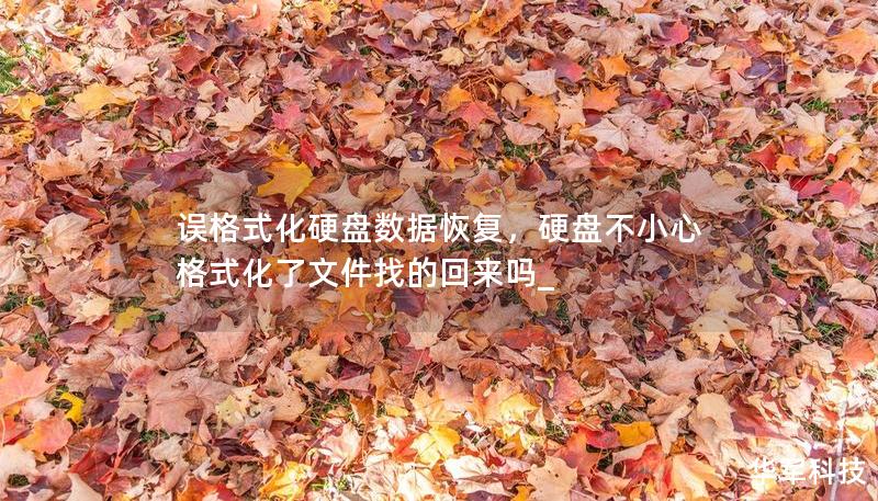 误格式化硬盘数据恢复,硬盘不小心格式化了文件找的回来吗_ 误格式化硬盘数据恢复,硬盘不小心格式化了文件找的回来吗_