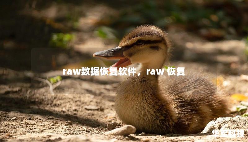 raw数据恢复软件,raw 恢复 raw数据恢复软件,raw 恢复