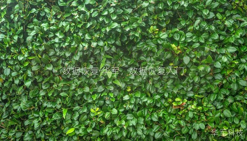 数据恢复 技王,数据恢复入门 数据恢复 技王,数据恢复入门