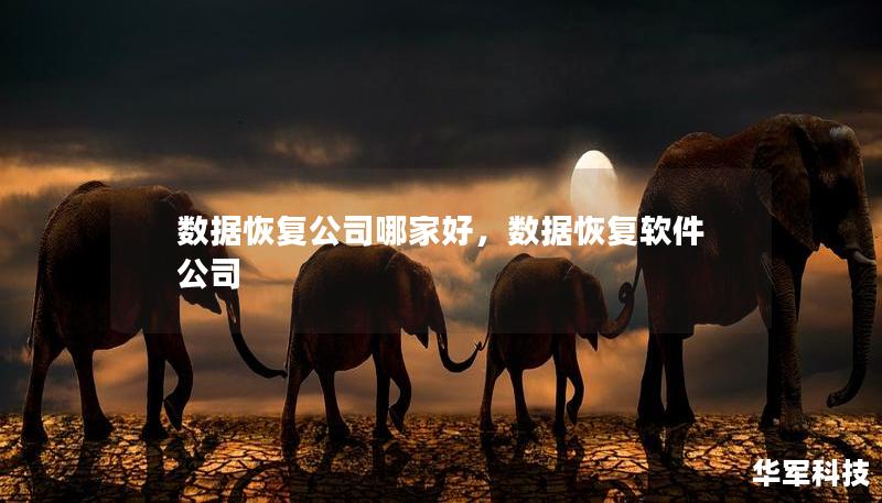 数据恢复公司哪家好,数据恢复软件公司 数据恢复公司哪家好,数据恢复软件公司
