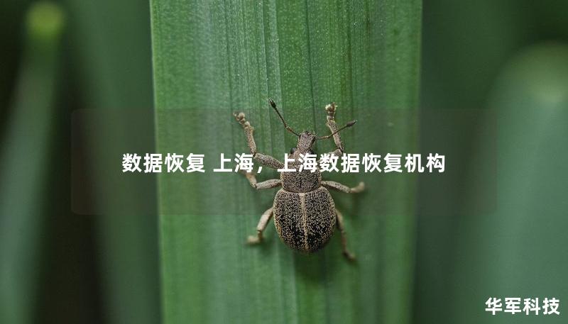 数据恢复 上海,上海数据恢复机构 数据恢复 上海,上海数据恢复机构