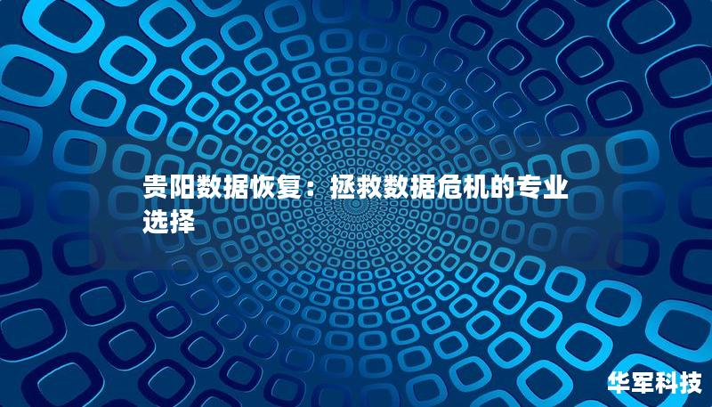 贵阳数据恢复:拯救数据危机的专业选择 贵阳数据恢复:拯救数据危机的专业选择