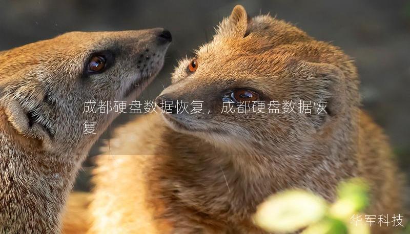 成都硬盘数据恢复,成都硬盘数据恢复 成都硬盘数据恢复,成都硬盘数据恢复