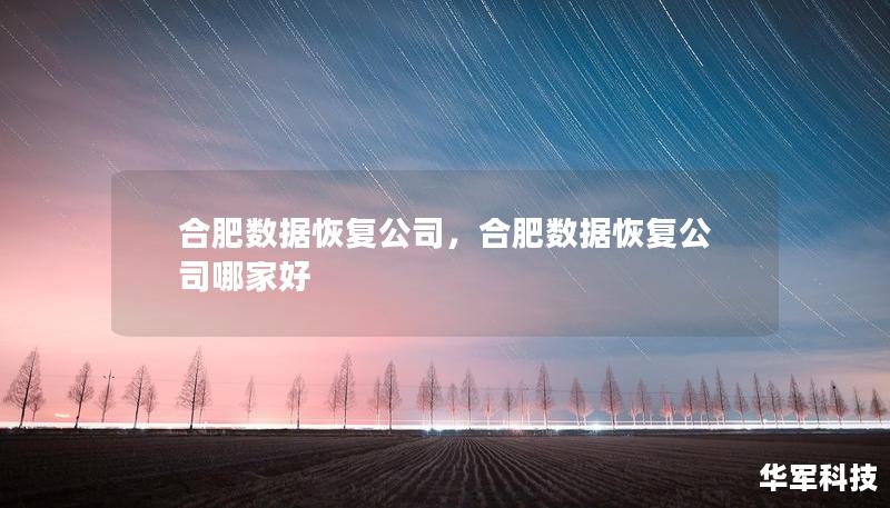 合肥数据恢复公司,合肥数据恢复公司哪家好 合肥数据恢复公司,合肥数据恢复公司哪家好