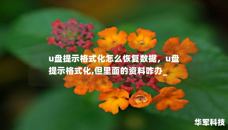 u盘提示格式化怎么恢复数据,u盘提示格式化,但里面的资料咋办_ u盘提示格式化怎么恢复数据,u盘提示格式化,但里面的资料咋办_