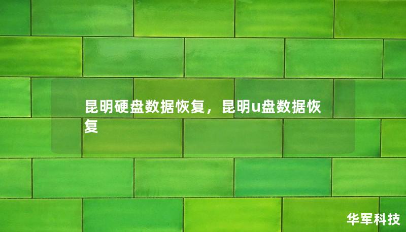 昆明硬盘数据恢复,昆明u盘数据恢复 昆明硬盘数据恢复,昆明u盘数据恢复