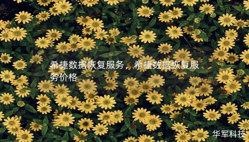 希捷数据恢复服务,希捷数据恢复服务价格 希捷数据恢复服务,希捷数据恢复服务价格