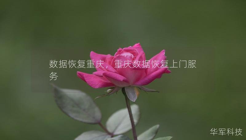 数据恢复重庆,重庆数据恢复上门服务 数据恢复重庆,重庆数据恢复上门服务