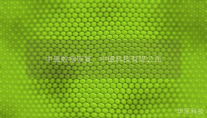 中磁数据恢复,中磁科技有限公司 中磁数据恢复,中磁科技有限公司
