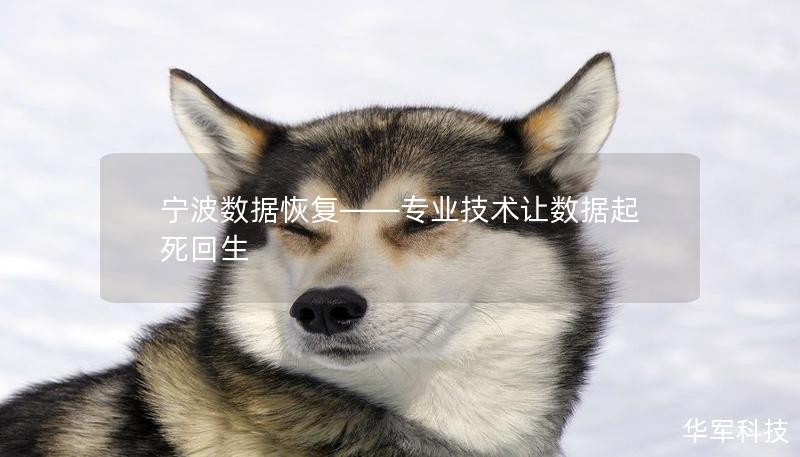 宁波数据恢复——专业技术让数据起死回生 宁波数据恢复——专业技术让数据起死回生