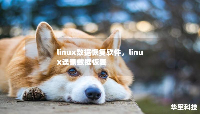 linux数据恢复软件,linux误删数据恢复 linux数据恢复软件,linux误删数据恢复