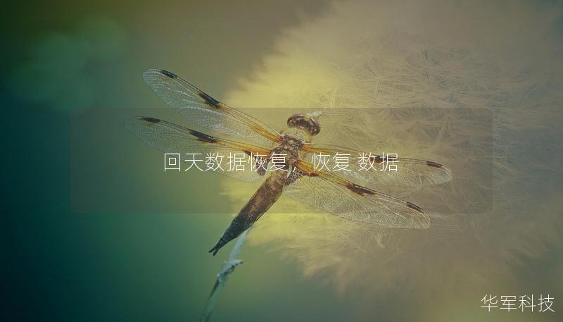 回天数据恢复,恢复 数据 回天数据恢复,恢复 数据