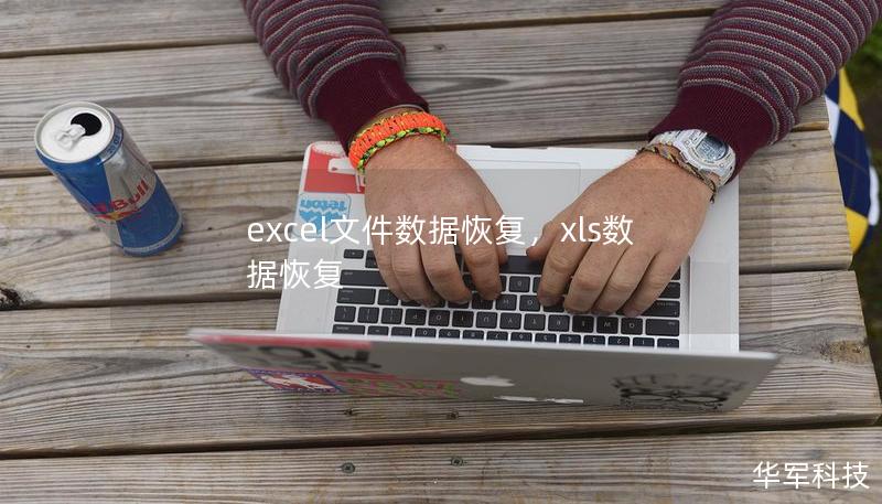 excel文件数据恢复,xls数据恢复 excel文件数据恢复,xls数据恢复