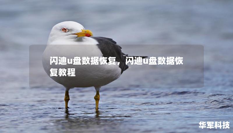 闪迪u盘数据恢复,闪迪u盘数据恢复教程 闪迪u盘数据恢复,闪迪u盘数据恢复教程