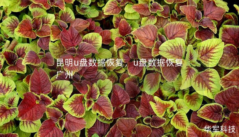 昆明u盘数据恢复,u盘数据恢复 广州 昆明u盘数据恢复,u盘数据恢复 广州