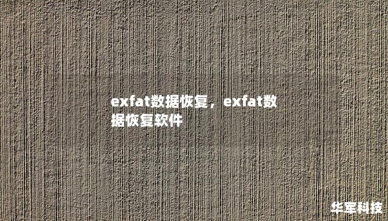 exfat数据恢复,exfat数据恢复软件 exfat数据恢复,exfat数据恢复软件