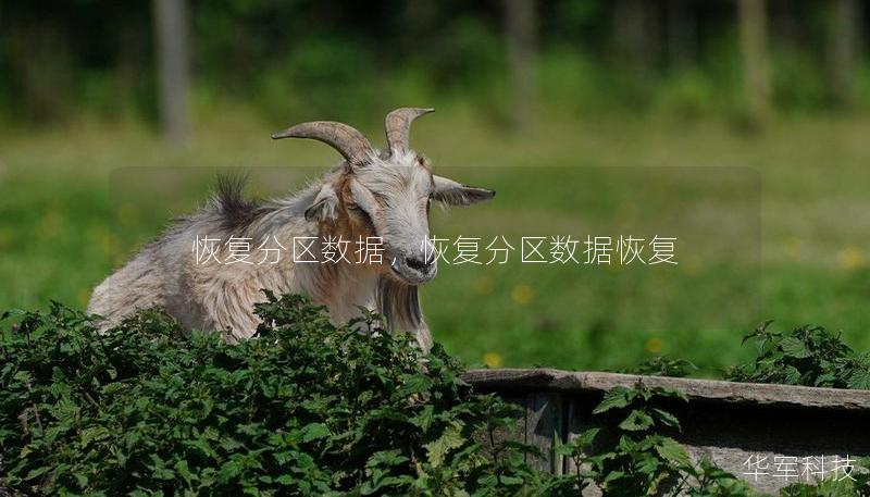 恢复分区数据,恢复分区数据恢复 恢复分区数据,恢复分区数据恢复
