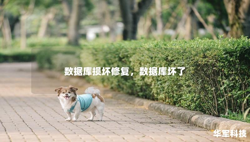 数据库损坏修复,数据库坏了 数据库损坏修复,数据库坏了