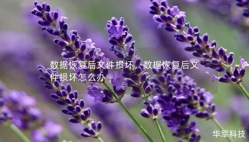 数据恢复后文件损坏,数据恢复后文件损坏怎么办 数据恢复后文件损坏,数据恢复后文件损坏怎么办