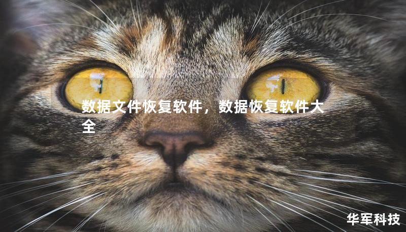 数据文件恢复软件,数据恢复软件大全 数据文件恢复软件,数据恢复软件大全