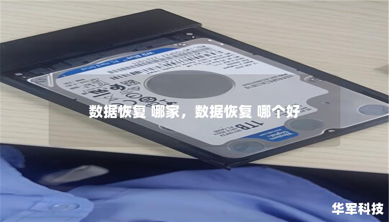 数据恢复 哪家，数据恢复 哪个好