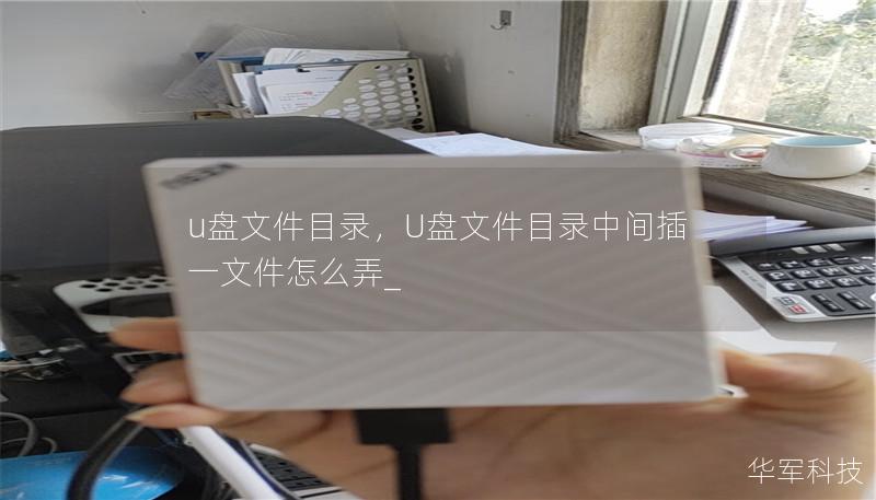 u盘文件目录，U盘文件目录中间插一文件怎么弄_