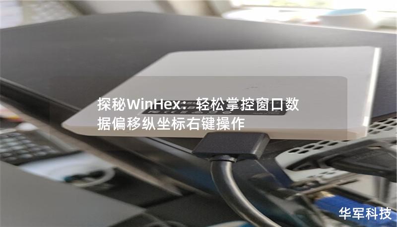 探秘WinHex：轻松掌控窗口数据偏移纵坐标右键操作
