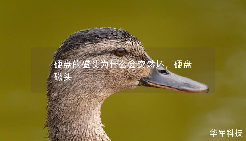 硬盘的磁头为什么会突然坏,硬盘 磁头 硬盘的磁头为什么会突然坏,硬盘 磁头