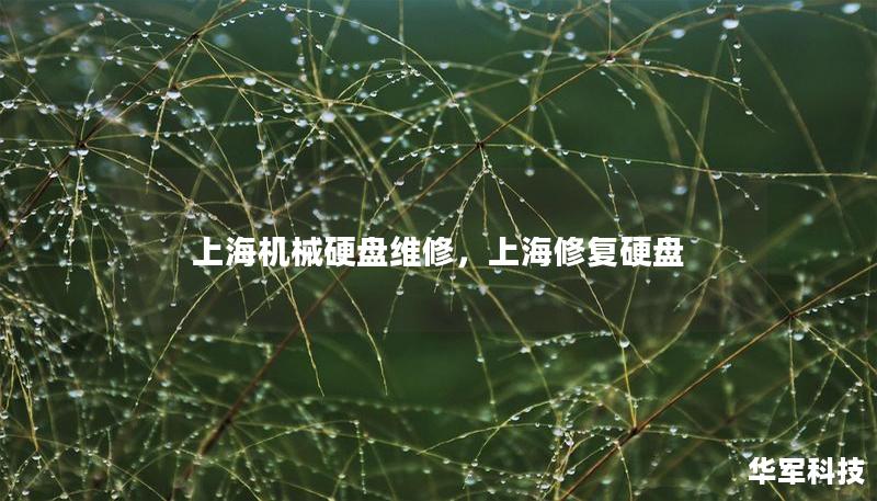 上海机械硬盘维修,上海修复硬盘 上海机械硬盘维修,上海修复硬盘