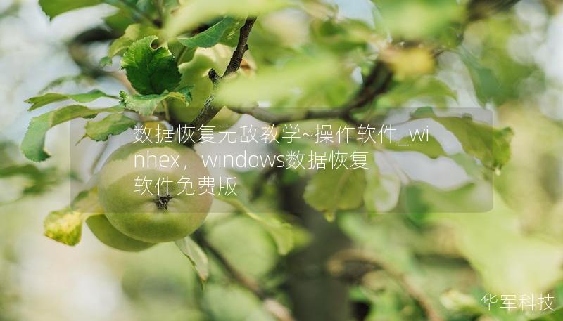 数据恢复无敌教学~操作软件_winhex,windows数据恢复软件免费版 数据恢复无敌教学~操作软件_winhex,windows数据恢复软件免费版