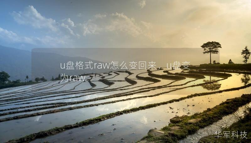 u盘格式raw怎么变回来,u盘变为raw u盘格式raw怎么变回来,u盘变为raw