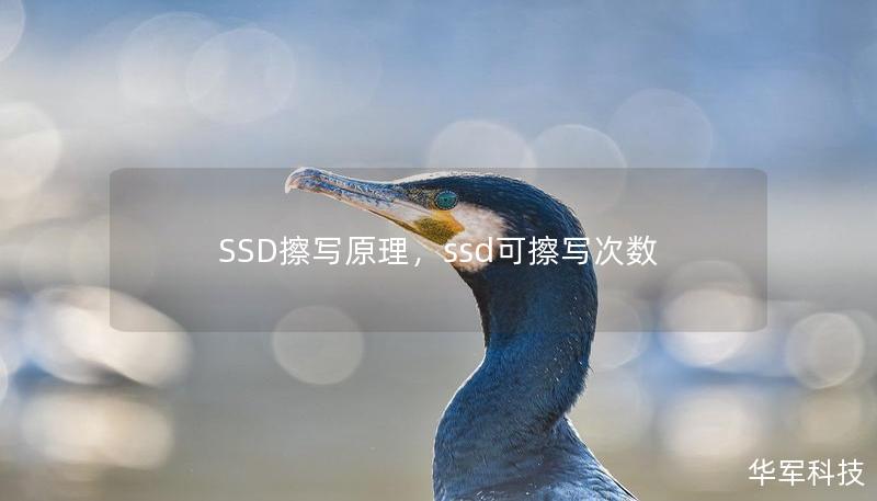 SSD擦写原理，ssd可擦写次数