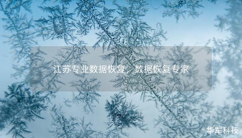 江苏专业数据恢复,数据恢复专家 江苏专业数据恢复,数据恢复专家
