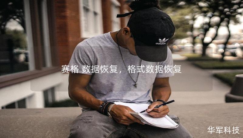 赛格 数据恢复,格式数据恢复 赛格 数据恢复,格式数据恢复