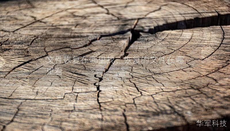 文件恢复在哪里找,恢复的文件在哪里看 文件恢复在哪里找,恢复的文件在哪里看