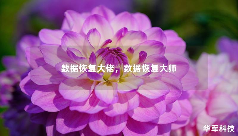 数据恢复大佬，数据恢复大师